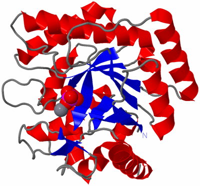 Image Asym./Biol. Unit