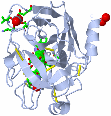 Image Biol. Unit 1 - sites