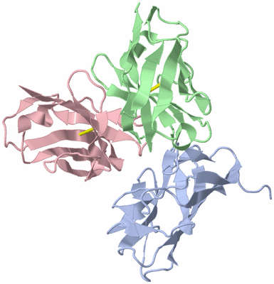 Image Biological Unit 1