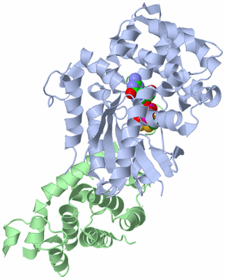 Image Biological Unit 1