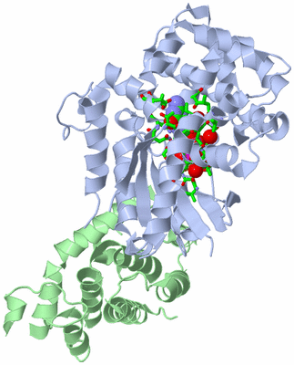 Image Biol. Unit 1 - sites