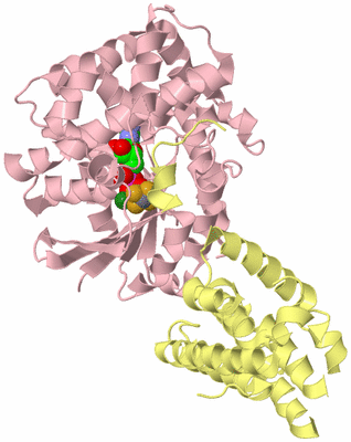 Image Biological Unit 2