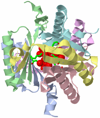 Image Asym./Biol. Unit - sites