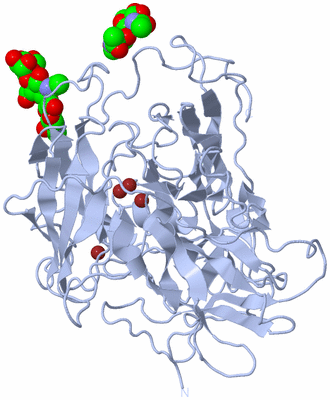 Image Biological Unit 1