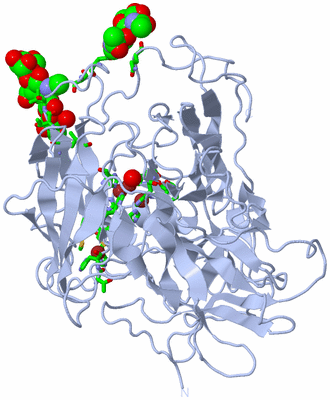 Image Biol. Unit 1 - sites