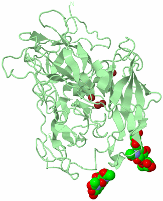 Image Biological Unit 2