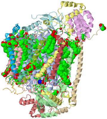 Image Biol. Unit 1 - sites