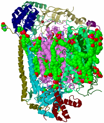 Image Biological Unit 2