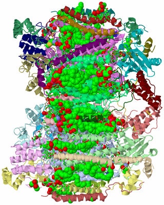 Image Asym. Unit - sites