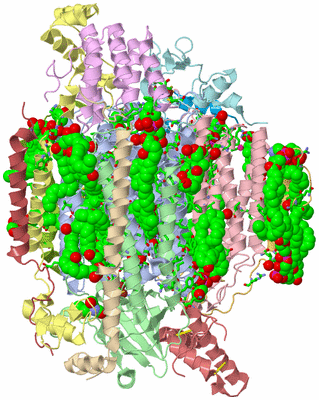 Image Biol. Unit 1 - sites