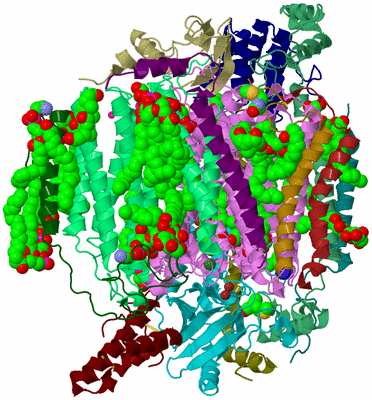 Image Biological Unit 2