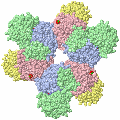 Image Biological Unit 1