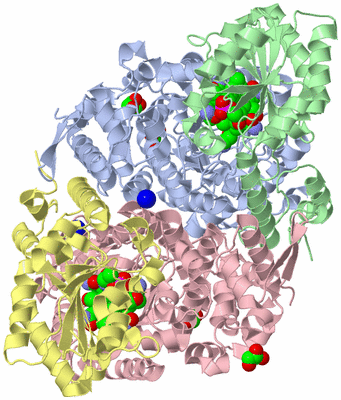 Image Biological Unit 2