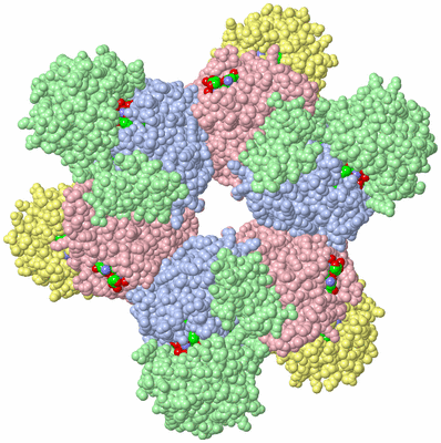 Image Biol. Unit 1 - sites