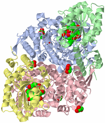 Image Biological Unit 2