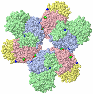 Image Biological Unit 1