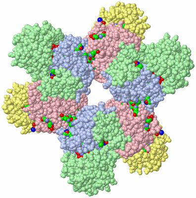 Image Biol. Unit 1 - sites