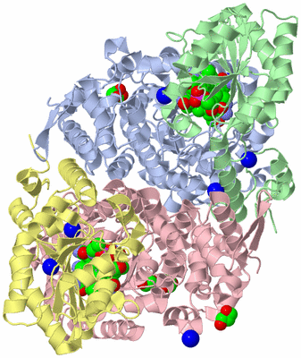 Image Biological Unit 2