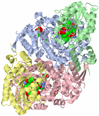 Image Biological Unit 2