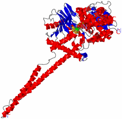 Image Asym./Biol. Unit