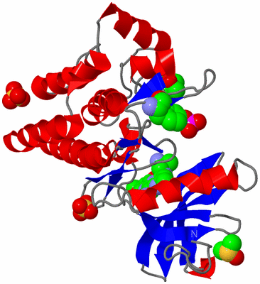 Image Asym./Biol. Unit