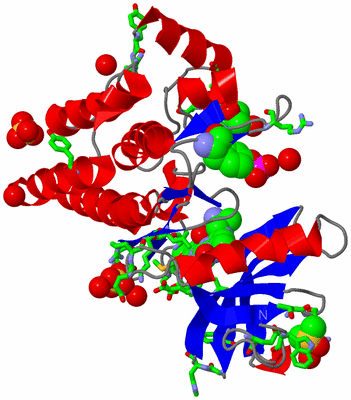 Image Asym./Biol. Unit - sites