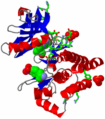 Image Asym./Biol. Unit - sites