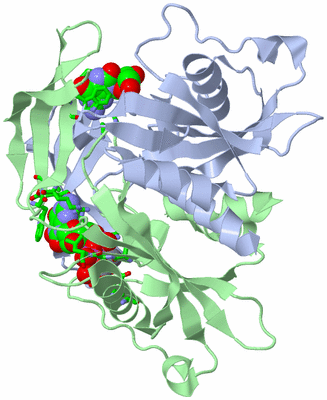 Image Asym./Biol. Unit - sites