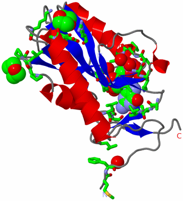 Image Asym. Unit - sites