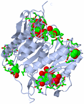 Image Biol. Unit 1 - sites