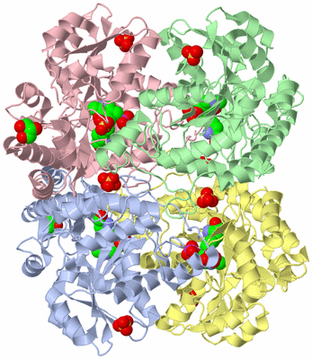 Image Asym./Biol. Unit