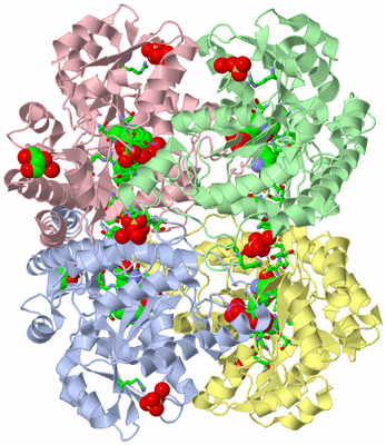 Image Asym./Biol. Unit - sites