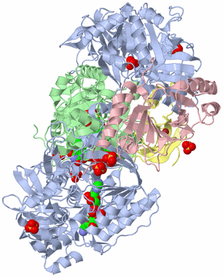 Image Asym./Biol. Unit