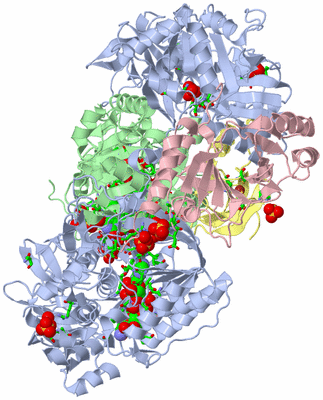 Image Asym./Biol. Unit - sites