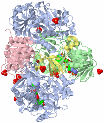 Image Asym./Biol. Unit