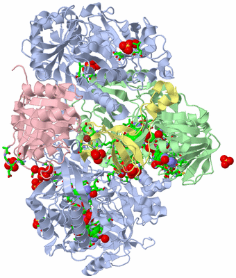 Image Asym./Biol. Unit - sites