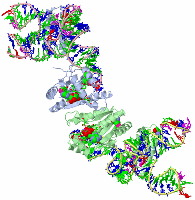 Image Asym./Biol. Unit - sites