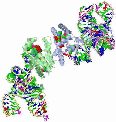 Image Asym./Biol. Unit