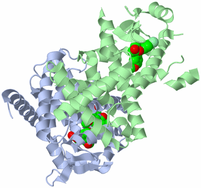 Image Biological Unit 1