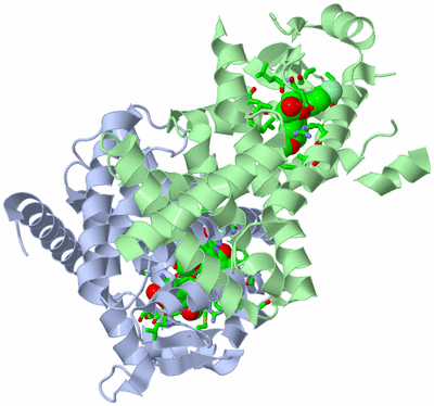 Image Biol. Unit 1 - sites