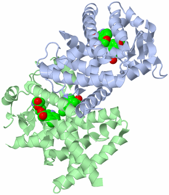 Image Biological Unit 2