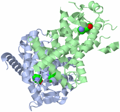 Image Biological Unit 1