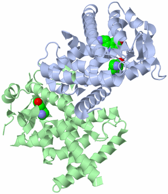 Image Biological Unit 2