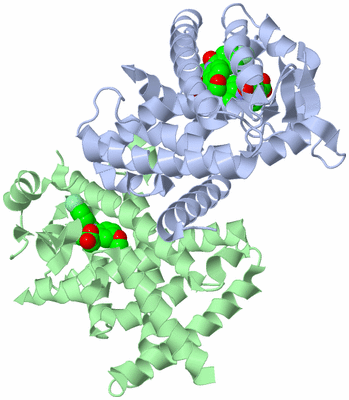 Image Biological Unit 2