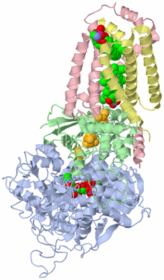 Image Asym./Biol. Unit