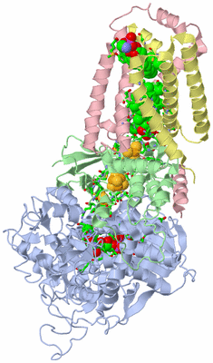 Image Asym./Biol. Unit - sites