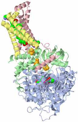 Image Asym./Biol. Unit