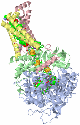 Image Asym./Biol. Unit - sites