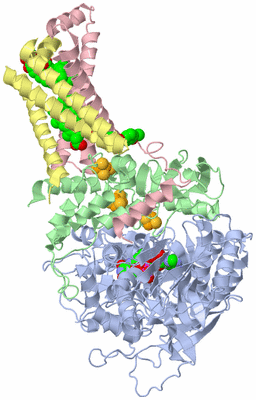 Image Asym./Biol. Unit