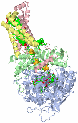 Image Asym./Biol. Unit - sites